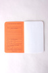 FIELD NOTES - 3 PACK NEON ICE POPS LIMITED EDITION - bild 3