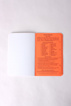 FIELD NOTES - 3 PACK NEON ICE POPS LIMITED EDITION - bild 4
